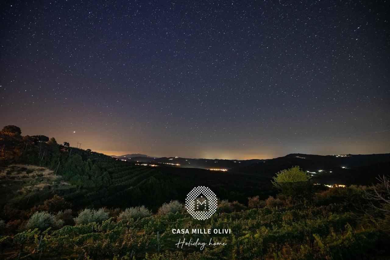 ブゼト Casa Mille Oliviヴィラ エクステリア 写真
