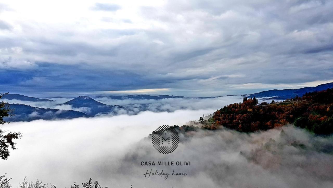 ブゼト Casa Mille Oliviヴィラ エクステリア 写真